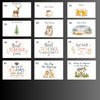 Housewarming Gift for Dad – Letterbox New Home Hamper & Treats - WahooGifts